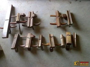 牛老师带你探索劳动技术 五年级上册第1讲——材料、工具与奇妙的楔横轧件